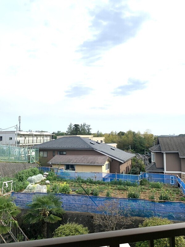 スカイハイムの展望