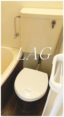 【トイレ】 | 日興パレス新宿PARTⅢ | トイレです。