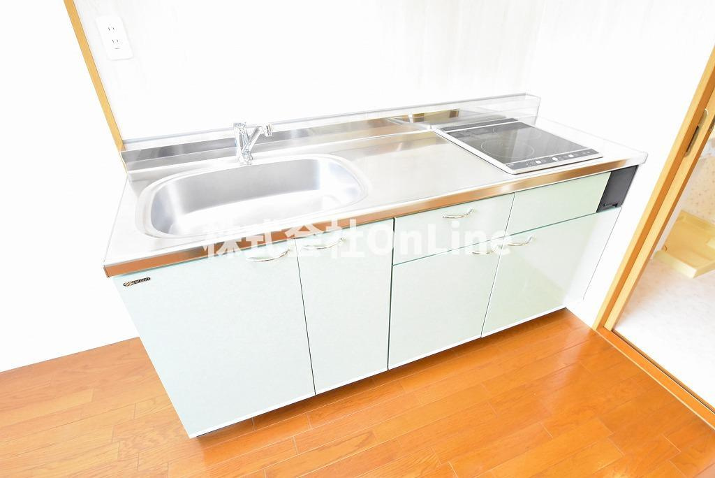 八尾市山本町北８丁目の賃貸マンションのキッチン