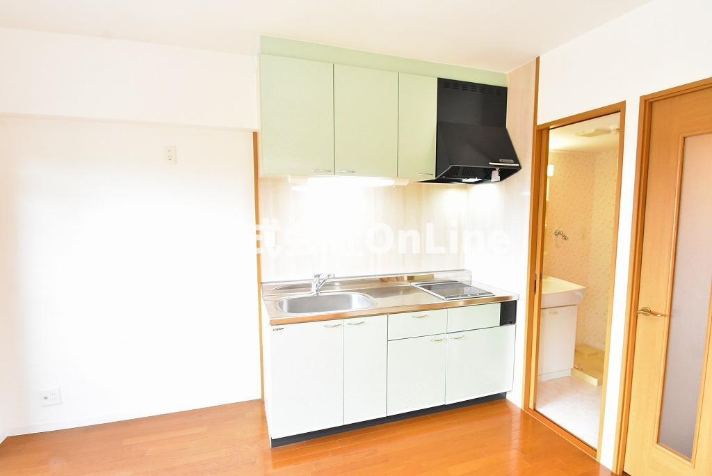 八尾市山本町北８丁目の賃貸マンションのキッチン