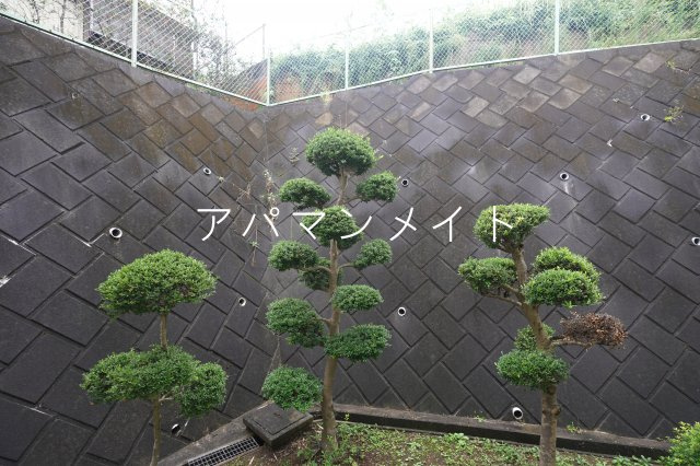 【展望】 | こんな感じです！