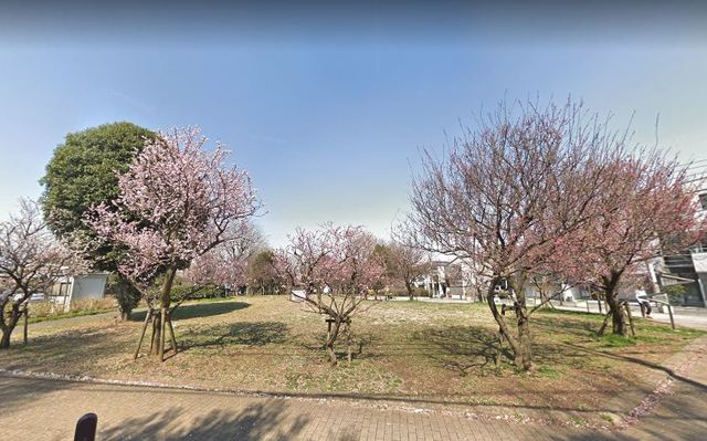 ロアジール下北沢　Ａ棟のその他|羽根木公園