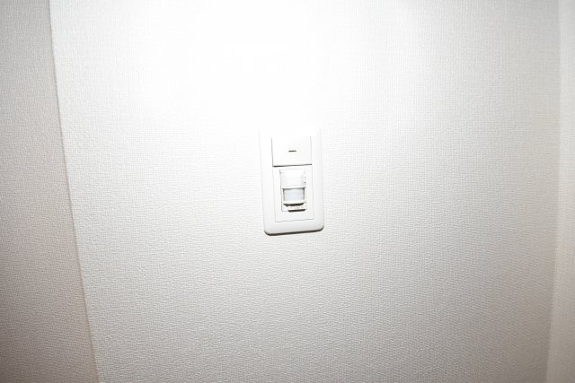 カーサ　ラピス