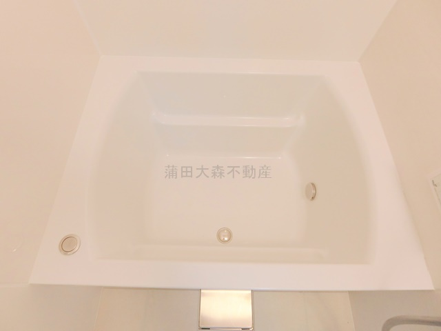 イリス糀谷の浴室