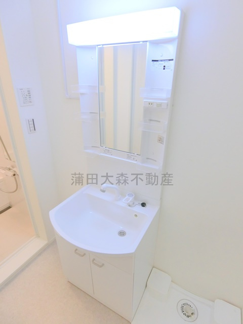 イリス糀谷の洗面所