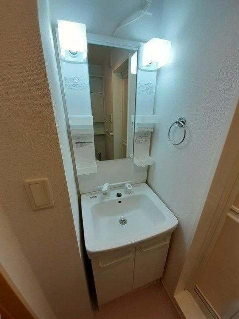 メゾン　ミニヨンの洗面所