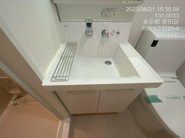 エステムプラザ凌雲閣の洗面所