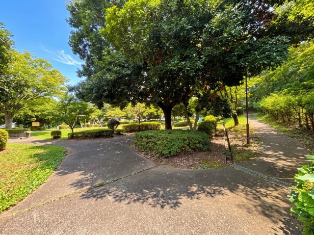 青木葉公園から、多摩中央公園に向かう遊歩道もございます！