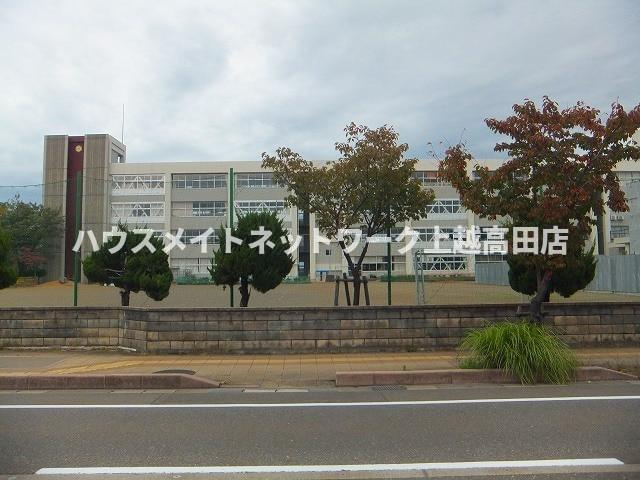 チェスタ仲町の周辺|周辺施設