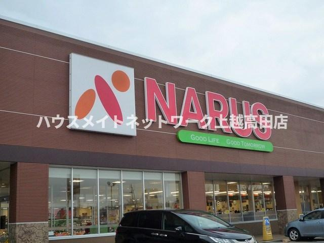 チェスタ仲町の周辺|周辺施設
