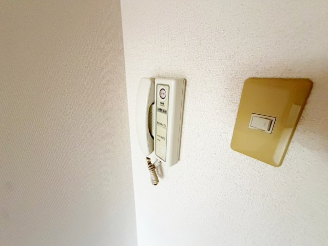 アレルヤの展望