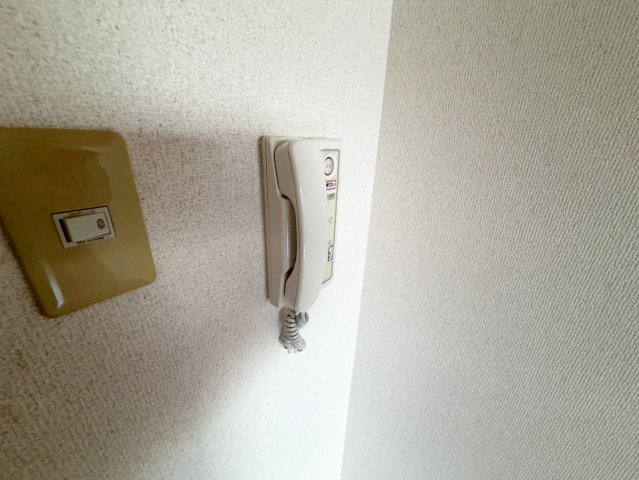 アレルヤのセキュリティ