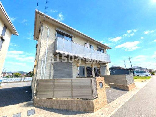 サフランの外観