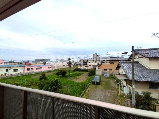 サフランの展望