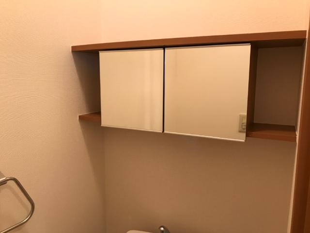 スカイグリーンの収納|トイレ収納
