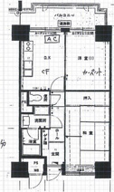 シャンボール大名の画像