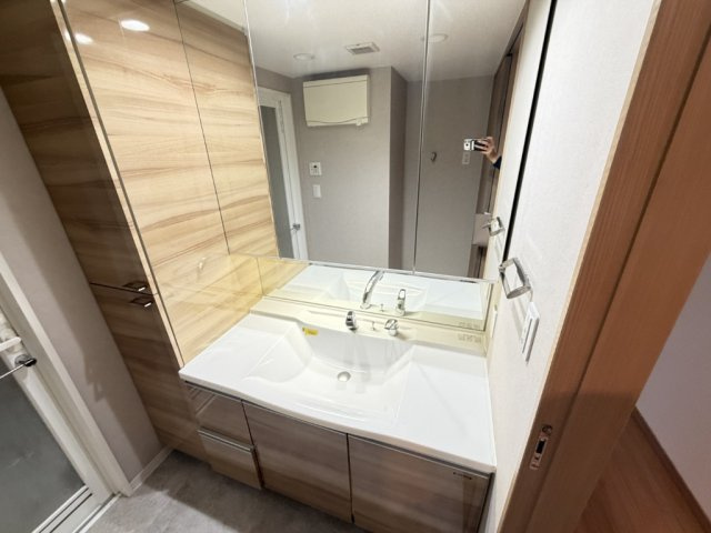 プレサンスロジェ浄心の洗面所
