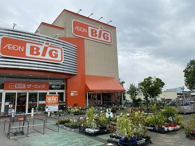レオパレス西本町壱番館の周辺|日用品から食料品が揃う