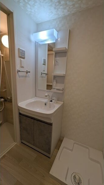 S-RESIDENCE堀田beauteの洗面所
