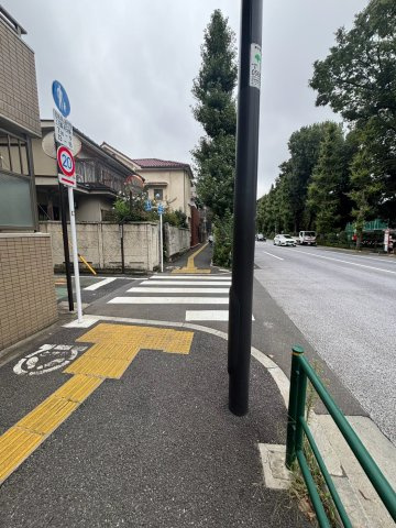 サンテミリオン目白台の周辺