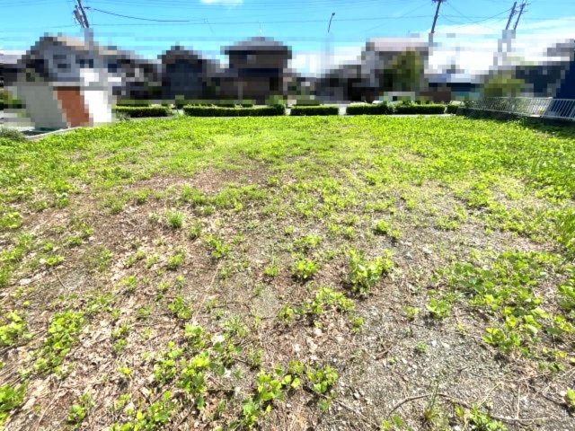 高島市新旭町熊野本2丁目119坪売地の外観