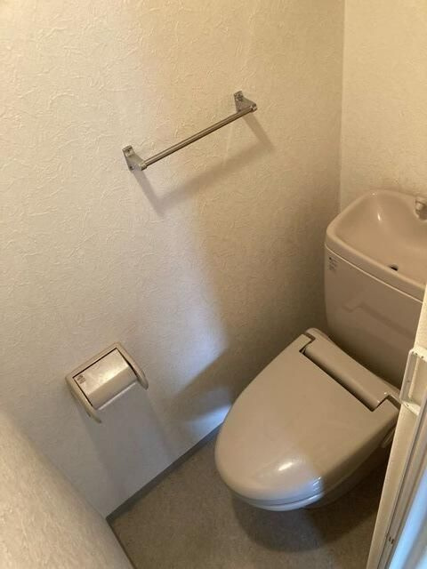 ヴルーム国立のトイレ