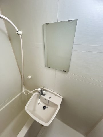 プレミアム堀江の洗面所