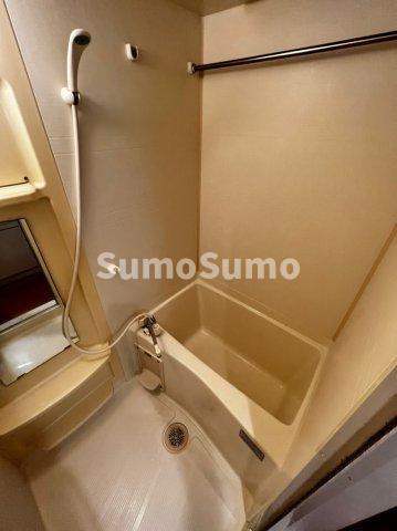 エステムコート心斎橋アルテールの浴室