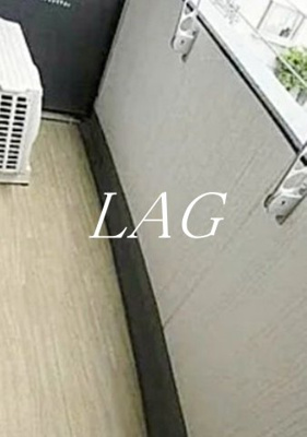 【バルコニー】 | SYFORME田園調布南Asyl　Court | バルコニーです。