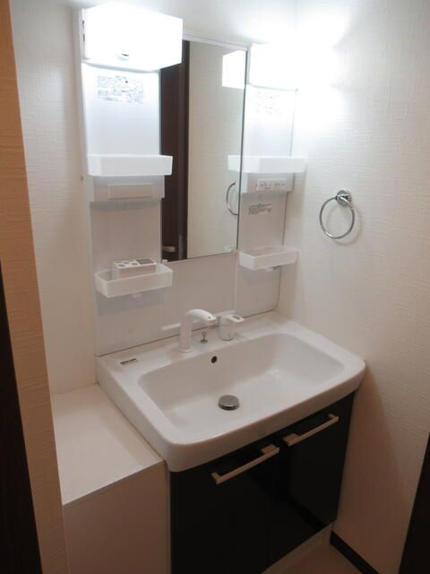 パークマンション東川口の洗面所