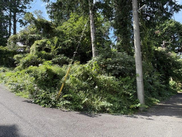 大室高原別荘地　売地の画像