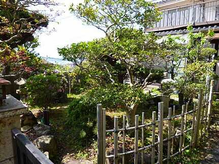 呉市的場3丁目中古戸建の庭