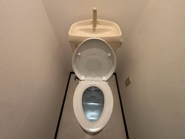 落ち着いた色調のトイレです