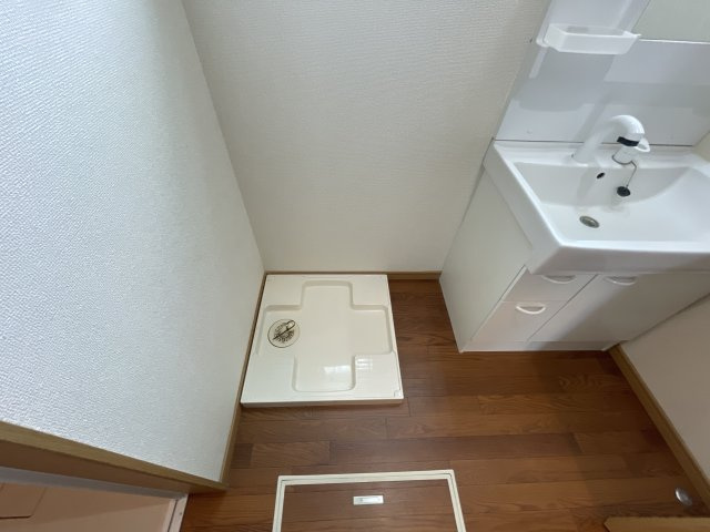 遙のその他