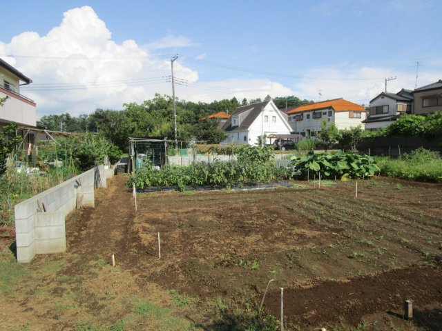 比企郡嵐山町川島　土地142坪の外観