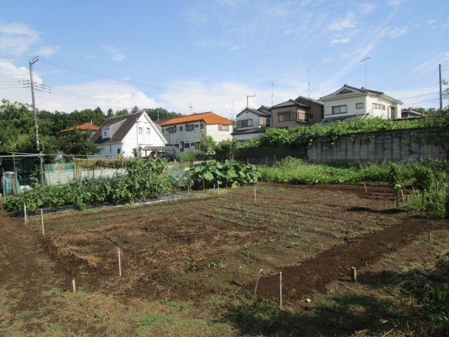 比企郡嵐山町川島　土地142坪の外観