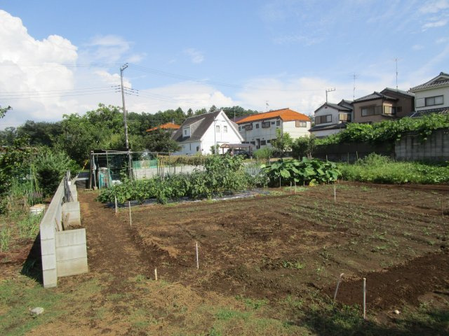 比企郡嵐山町川島　土地142坪の外観
