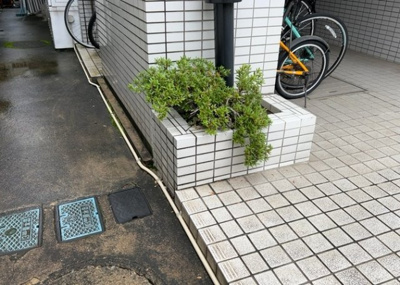 【中庭】 | クリオ相模大野壱番館 | 中庭（パティオ）とは、一つの建築物の内部に設けられた、壁などで囲われている庭のことを指します。コの字型、ロの字型が主流ですが、L字型の中庭もあります。最近では、インテリア性の高さからも人気があります。