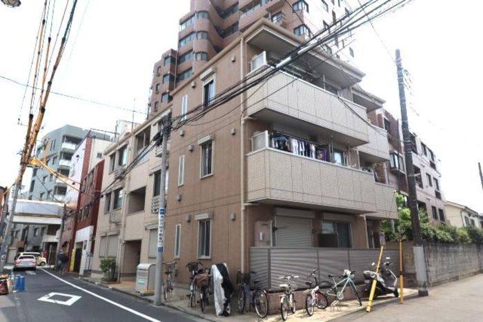 ステラカーサ
