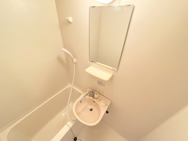 ハイクレスト橋本IIの洗面所