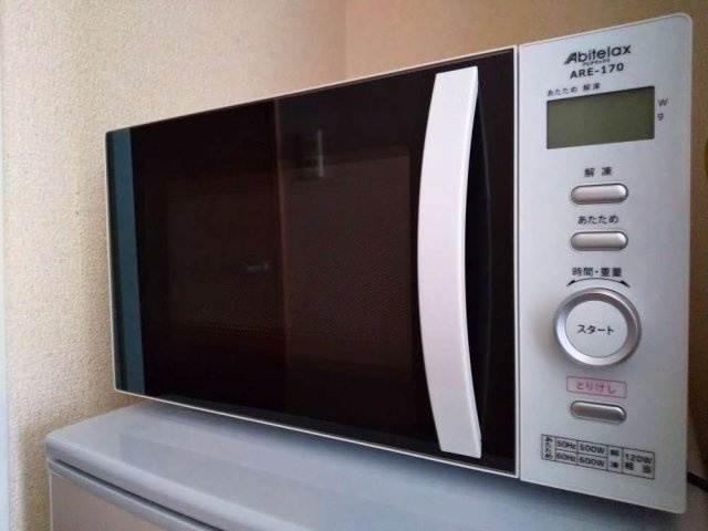 レオパレスグリーンフラットＦのその他