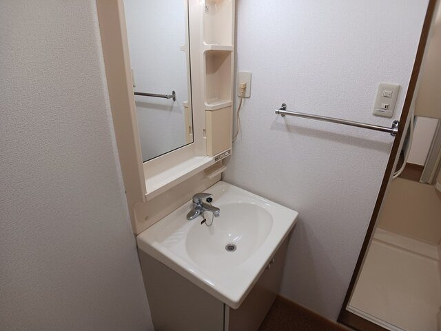 ヴィレッジ　トミタ　Ｄの洗面所
