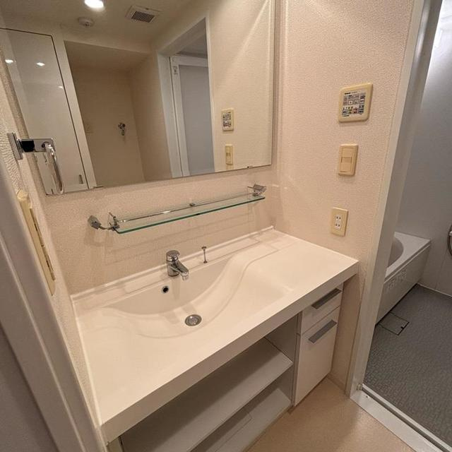 パークアクシス豊洲の洗面所|※写真は同タイプ住戸です。