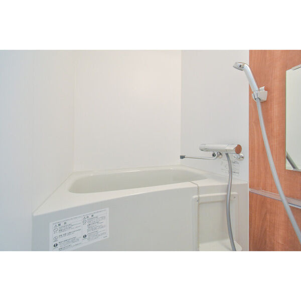 京都市伏見区淀下津町のアパートの浴室