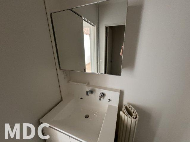 ピースアシュリーAの洗面所
