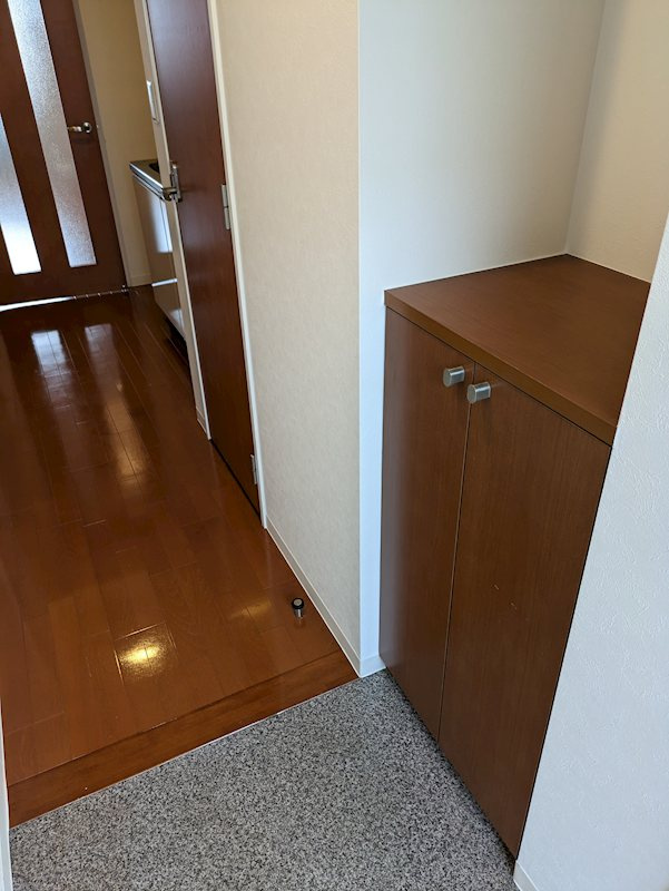 プラチナムステータスタワー  の玄関