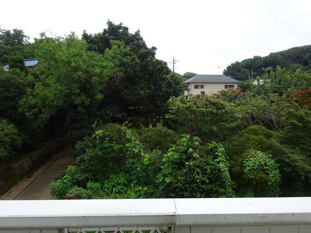 ハイムホーカクの展望