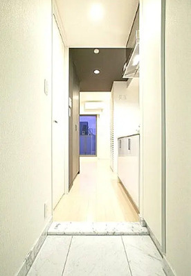 カスタリア菊川の玄関