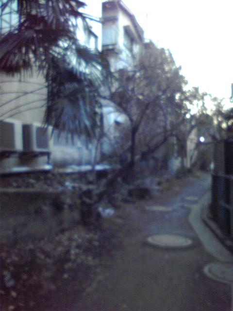 緑道まで60m