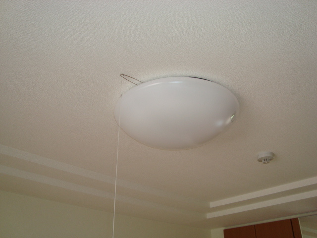 サンハイツ折坂のその他|照明器具
